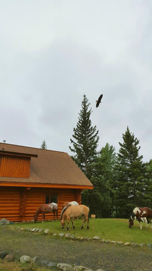 Bed and Breakfast Wettstone Guest Ranch Bridge Lake Exterior foto