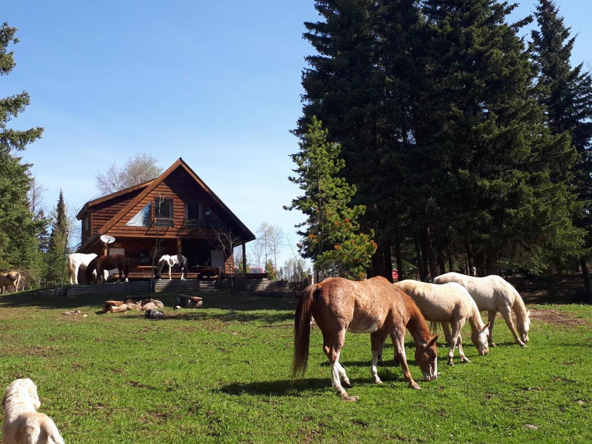 Bed and Breakfast Wettstone Guest Ranch Bridge Lake Exterior foto